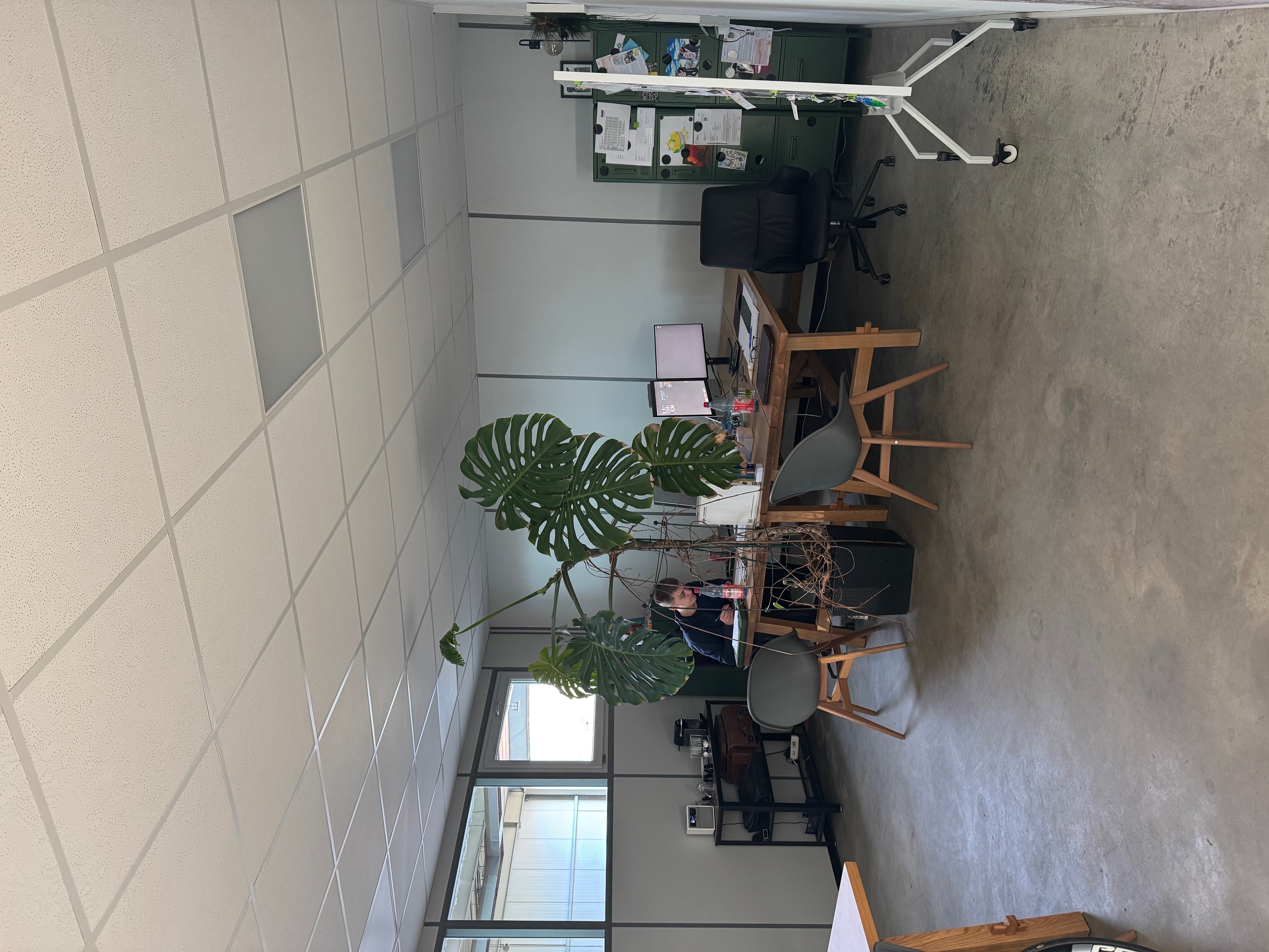 Bild von Anton Zenker